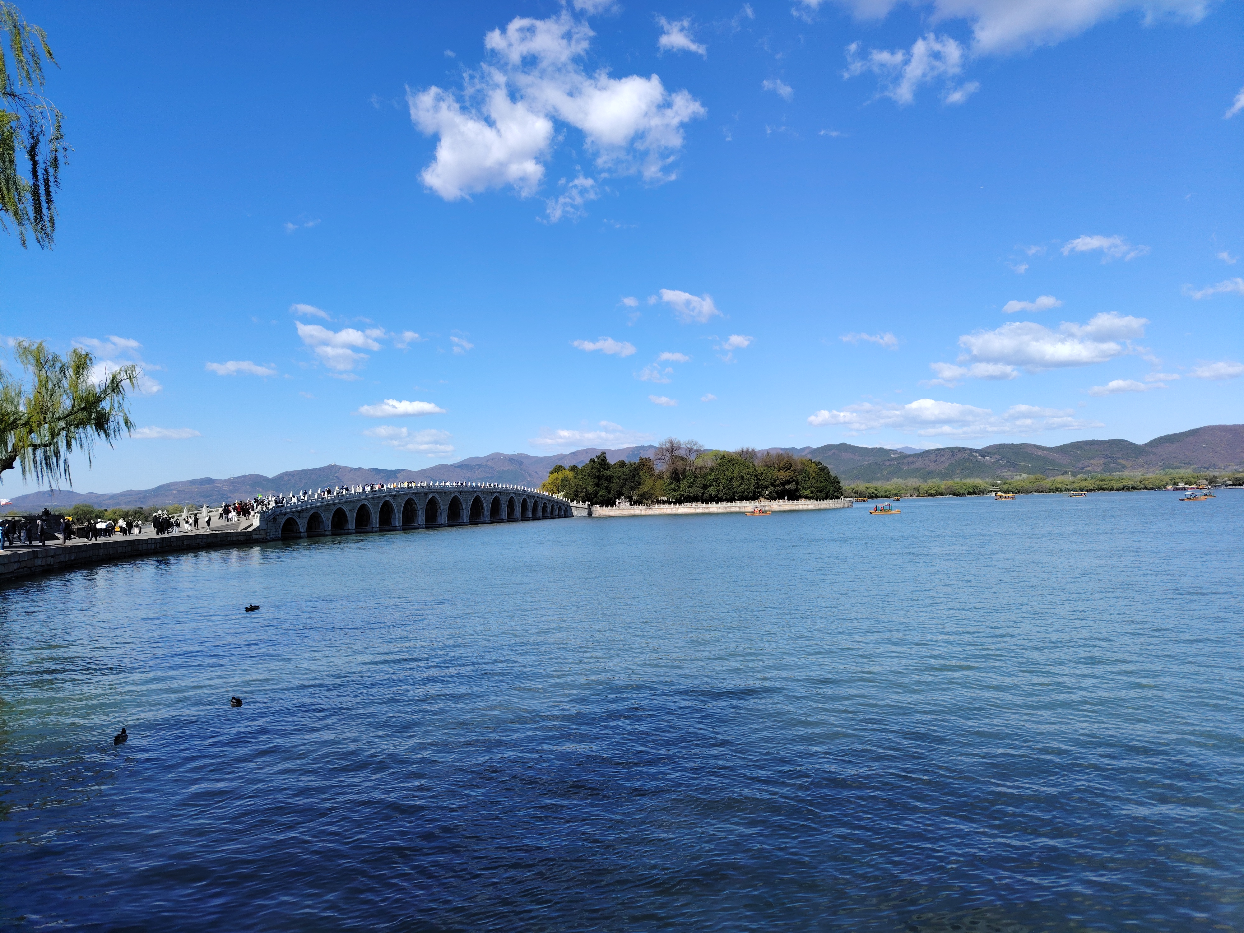 IMG_20260406_092031.jpg