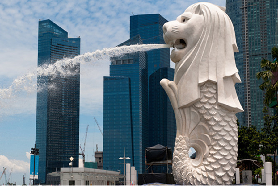 Produkte für den Singapur-Markt